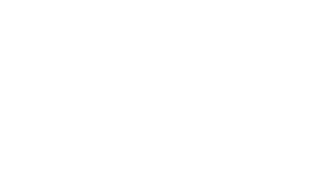 zigt-organization-logo-1024x538